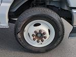 2024 Ford E-350 RWD Box Van for sale #RDD18243 - photo 11
