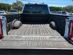 2024 Ford F-450 Crew Cab DRW 4WD Pickup for sale #RED20705 - photo 13