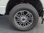 New 2025 Ford F-250 Platinum Crew Cab for sale #SED38711 - photo 11