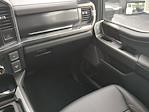 2025 Ford F-250 Crew Cab 4x4 Pickup for sale #SED84356 - photo 17