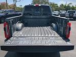 New 2025 Ford F-250 Platinum Crew Cab 4x4 Pickup for sale #SEE02555 - photo 13