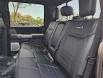 2025 Ford F-350 Crew Cab SRW 4x4 Pickup for sale #SEE02621 - photo 14