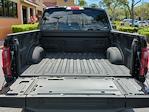 New 2025 Ford F-150 Tremor SuperCrew Cab 4x4 Pickup for sale #SFB06425 - photo 13