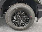 New 2025 Ford F-150 XLT SuperCrew Cab 4WD Pickup for sale #SFB26308 - photo 11