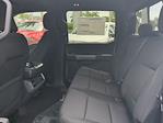 New 2025 Ford F-150 XLT SuperCrew Cab Pickup for sale #SFB40064 - photo 13