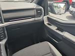 2025 Ford F-150 SuperCrew Cab 4x2 Pickup for sale #SFB40260 - photo 16