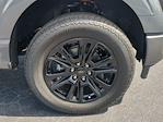 New 2025 Ford F-150 Platinum SuperCrew Cab 4x4 Pickup for sale #SFB54190 - photo 11