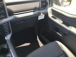 2025 Ford F-150 SuperCrew Cab 4x4 Pickup for sale #SFB80286 - photo 17