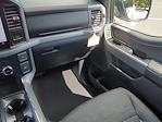 New 2025 Ford F-150 XLT SuperCrew Cab 4WD Pickup for sale #SFB90353 - photo 17