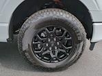 New 2025 Ford F-150 XLT SuperCrew Cab 4WD Pickup for sale #SFB90467 - photo 11