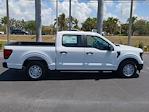 2025 Ford F-150 SuperCrew Cab 4x2 Pickup for sale #SKD12355 - photo 3