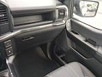 2025 Ford F-150 SuperCrew Cab 4x2 Pickup for sale #SKE24665 - photo 17