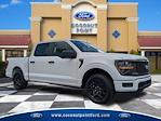 2025 Ford F-150 SuperCrew Cab 4x2 Pickup for sale #SKE24665 - photo 1
