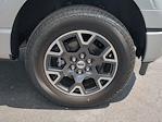 2025 Ford F-150 SuperCrew Cab 4x4 Pickup for sale #SKE38395 - photo 11