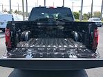 New 2025 Ford F-150 STX SuperCrew Cab 4x4 Pickup for sale #SKE68956 - photo 13