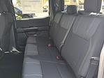 New 2025 Ford F-150 STX SuperCrew Cab 4x4 Pickup for sale #SKE69060 - photo 14