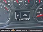 2024 Chevrolet Silverado 1500 Double Cab 4x4 Pickup for sale #25C638 - photo 16