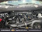 2020 Ford F-150 SuperCrew Cab 4x4 Pickup for sale #25C832 - photo 47