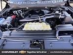 2020 Ford F-150 SuperCrew Cab 4x4 Pickup for sale #25C914 - photo 40