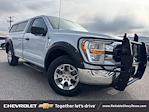 2022 Ford F-150 Regular Cab 4x2 Pickup for sale #26C171 - photo 1