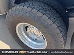 2023 Ford F-350 Crew Cab DRW 4x4 Pickup for sale #PEE01762 - photo 9