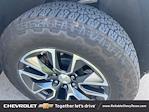 2024 Chevrolet Silverado 1500 Crew Cab 4x4 Pickup for sale #R1220513 - photo 14