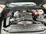 2025 Chevrolet Silverado 3500 Crew Cab 4WD Pickup for sale #25C161 - photo 31