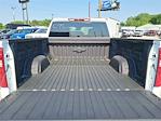 2025 Chevrolet Silverado 1500 Crew Cab 4WD Pickup for sale #25C175 - photo 25