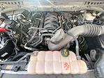 2023 Ford F-150 SuperCrew Cab 4x4 Pickup for sale #GP1324 - photo 31