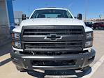 2024 Chevrolet Silverado 5500 Crew Cab DRW 4WD, Cab Chassis for sale #T24274 - photo 3