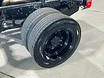 New 2024 Chevrolet Silverado 4500 Work Truck Regular Cab Cab Chassis for sale #C4S173501 - photo 15
