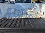 2025 Chevrolet Silverado 1500 Regular Cab 4WD Pickup for sale #47527 - photo 21