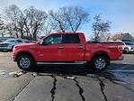 Used 2014 Ford F-150 XLT SuperCrew Cab for sale #48834A - photo 5