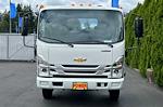 New 2025 Chevrolet LCF 4500 Regular Cab Cab Chassis for sale #26682 - photo 3