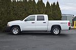 Used 2007 Dodge Dakota ST Crew Cab for sale #D03025 - photo 5