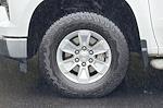 2024 Chevrolet Silverado 1500 Regular Cab 4WD Pickup for sale #D03087 - photo 22