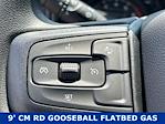 2025 Chevrolet Silverado 3500 Regular Cab DRW 4WD Flatbed Truck for sale #SF305755 - photo 16
