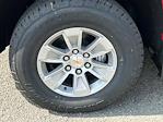 New 2025 Chevrolet Silverado 1500 Work Truck Regular Cab 4WD Pickup for sale #SG300190 - photo 9