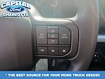 2025 Ford F-550 Crew Cab DRW 4WD Landscape Dump for sale #25F50814 - photo 23