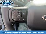 2025 Ford F-550 Crew Cab DRW 4WD Landscape Dump for sale #25F50814 - photo 24
