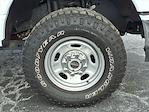 2023 Ford F-250 Regular Cab 4WD Pickup for sale #F1E98020A - photo 10