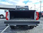 2023 Ford F-250 Regular Cab 4WD Pickup for sale #F1E98020A - photo 13