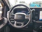 2024 Ford F-250 Crew Cab 4x4 Pickup for sale #EE78796 - photo 19
