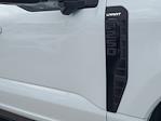 2024 Ford F-250 Crew Cab 4x4 Pickup for sale #EE78796 - photo 9