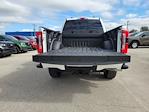 Used 2024 Ford F-350 Platinum Crew Cab for sale #EE89097 - photo 13