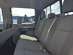 2017 Ford F-150 SuperCrew Cab 4x2 Pickup for sale #KE05847 - photo 14