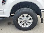 2020 Ford F-250 Crew Cab 4x4 Pickup for sale #LED54156 - photo 8
