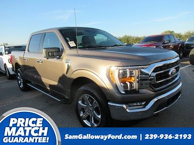 Used 2023 Ford F-150 - photo 1