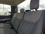 2023 Ford F-150 SuperCrew Cab 4x2 Pickup for sale #PFA84854 - photo 13