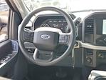 2023 Ford F-150 SuperCrew Cab 4WD Pickup for sale #PFC51541 - photo 20